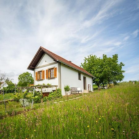 Edlitz im Burgenland Weinlofts Weinloft Iヴィラ エクステリア 写真