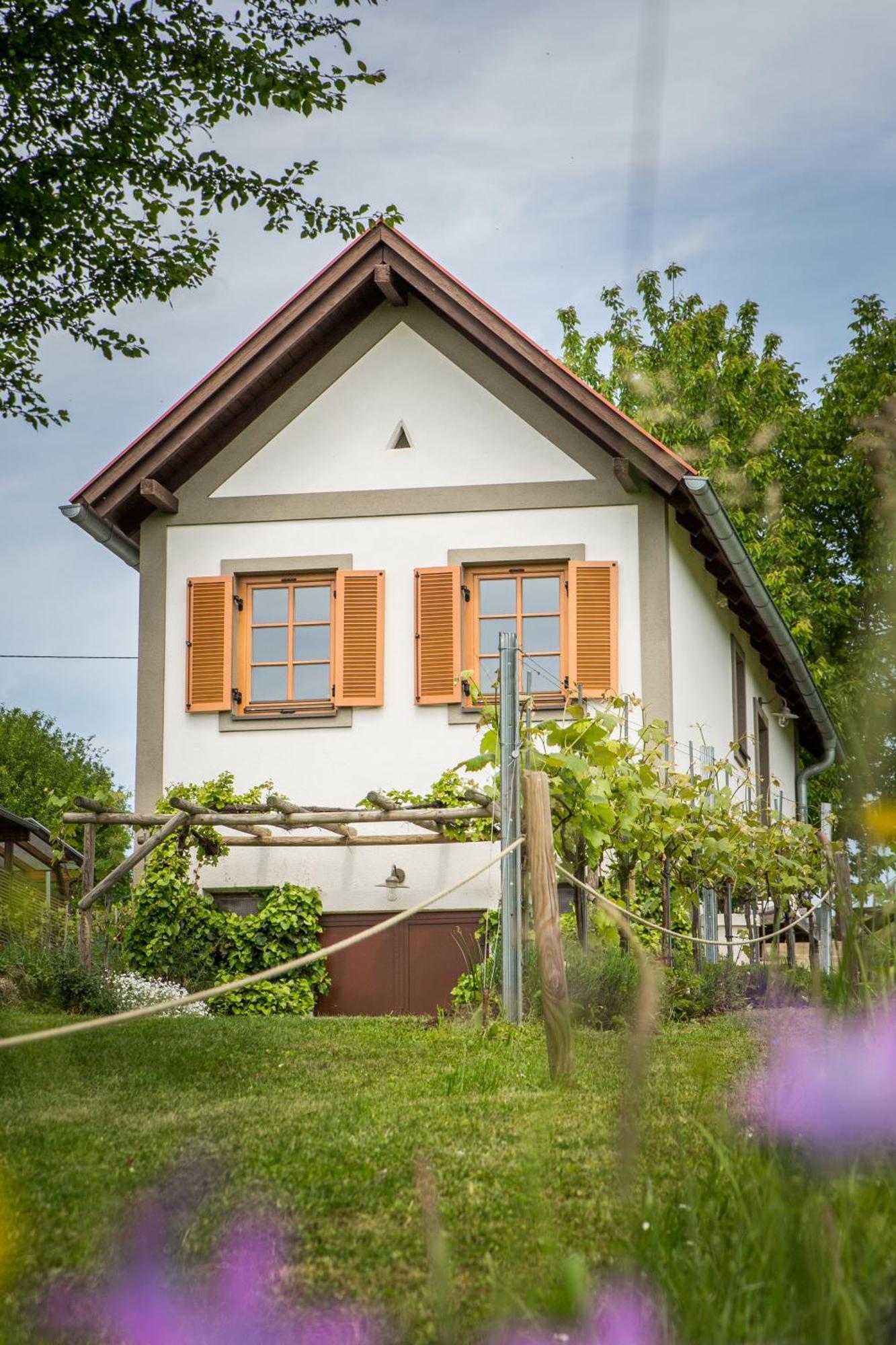 Edlitz im Burgenland Weinlofts Weinloft Iヴィラ エクステリア 写真