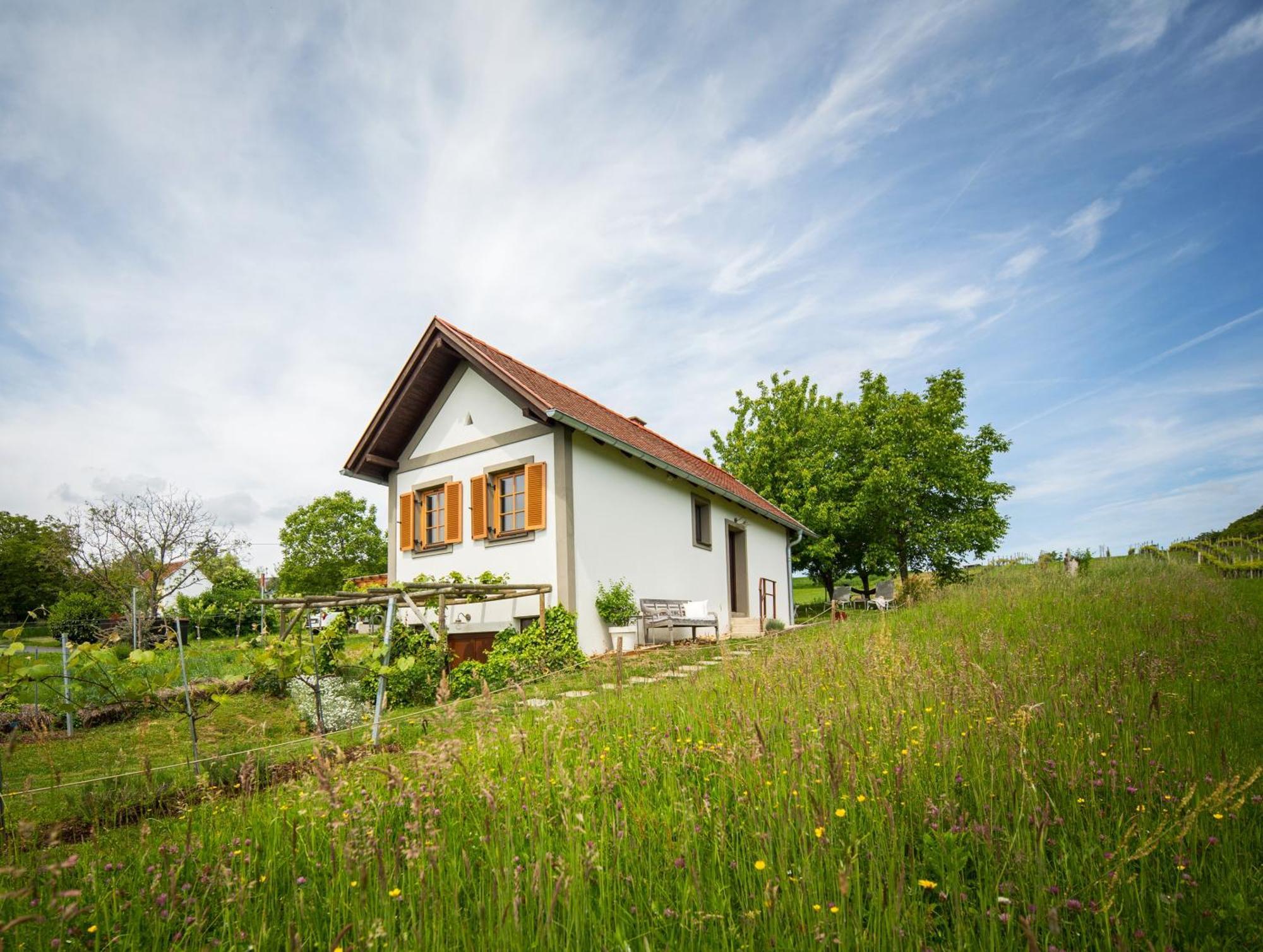 Edlitz im Burgenland Weinlofts Weinloft Iヴィラ エクステリア 写真