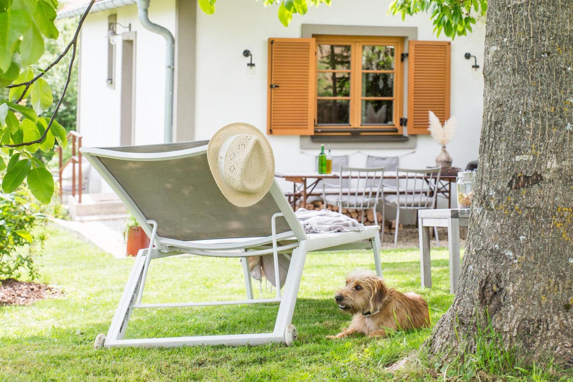 Edlitz im Burgenland Weinlofts Weinloft Iヴィラ エクステリア 写真